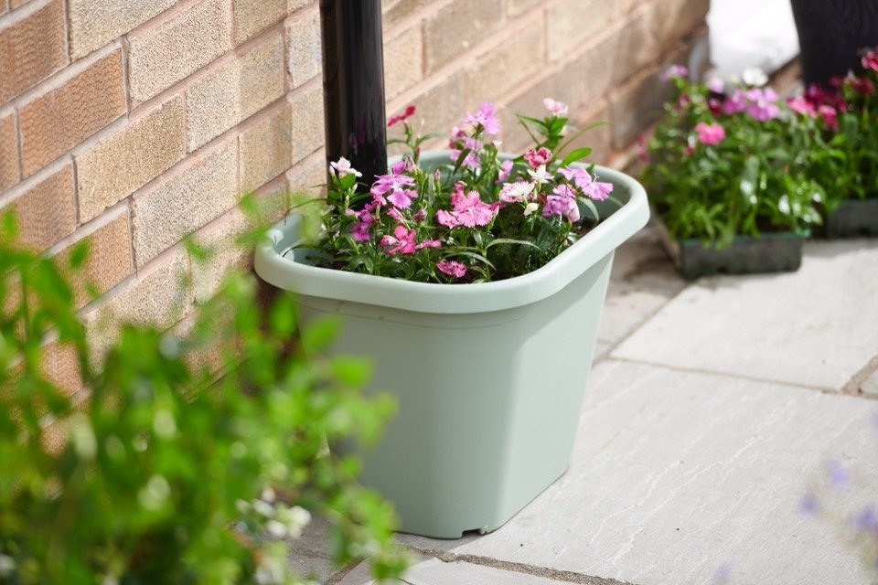 Clever Pots Downpipe Plant Pot Sage At Barnitts Online Store UK