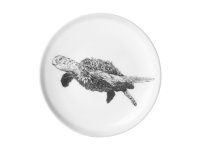 Maxwell & Williams Marini Ferlazzo Plate 20cm Green Sea Turtle