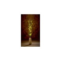 Premier Decorations Decorative Lit Twigs with 40 Warm White LED 1.2M - Ivy