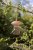 Fallen Fruits Bird Feeder Porcini