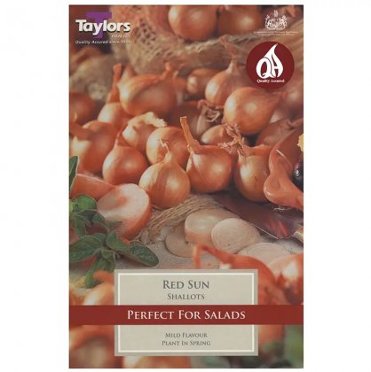 Taylors Red Sun Shallots - 12 Bulbs