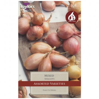 Taylors Assorted Shallot Bulbs - 12 Mixed Bulbs