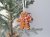 Giftware Trading Gingerbread Tree Decoration