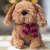 Zoon Plush Dog Toy - Cockapoo PlayPal