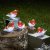 Three Kings InLit Ice Robins - Set of 5