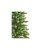 Premier Decorations Pencil Pine 1.7M - Snow Tipped