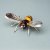 Tilnar Art Silver Wing Bee Small - 12.5 cm