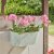 Smart Garden 12in Fence & Balcony Hanging Planter - Fern - Sage