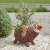 Smart Garden Porky Pig Planter