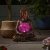 Smart Garden Gazing Buddha Solar Light