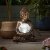 Smart Garden Gazing Buddha Solar Light