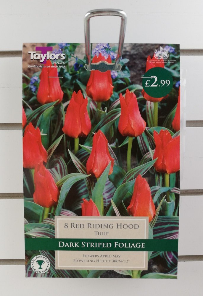 Taylors Red Riding Hood Tulips 8 Bulbs at Barnitts Online Store, UK